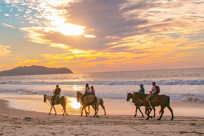 Cabo Shore Excursion: Beach Horseback Ride & Tequila Tasting - Playa Migrino: the strongest part of the outing