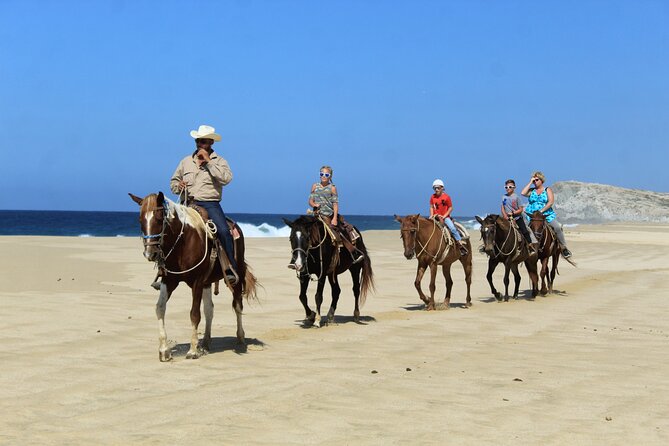 Cabo Shore Excursion: Beach Horseback Ride & Tequila Tasting - Los Cabos and El Arco as part of the setting
