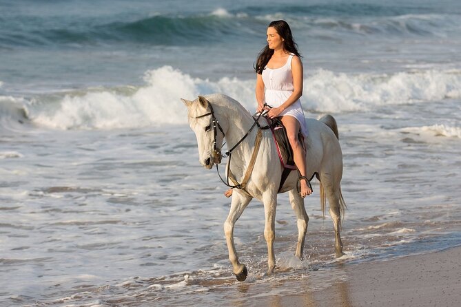 Cabo Shore Excursion: Beach Horseback Ride & Tequila Tasting - What $70 really buys you