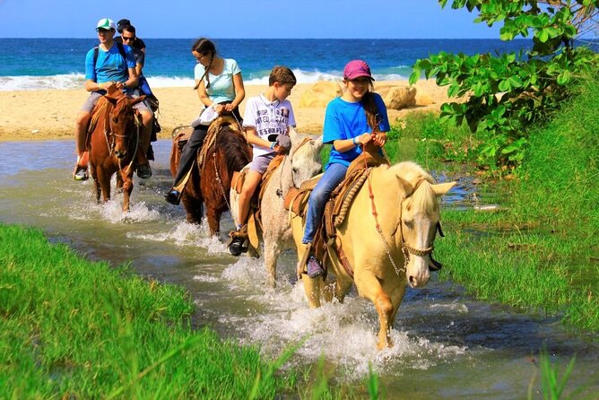 Cabo Shore Excursion: Beach Horseback Ride & Tequila Tasting - Timing for a cruise ship day