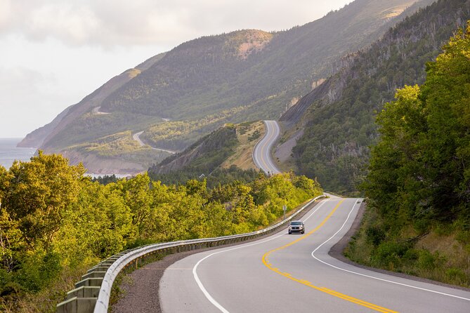 Cabot Trail Bus Tour for Cruise Excursion - Starting at Sydney’s cruise port