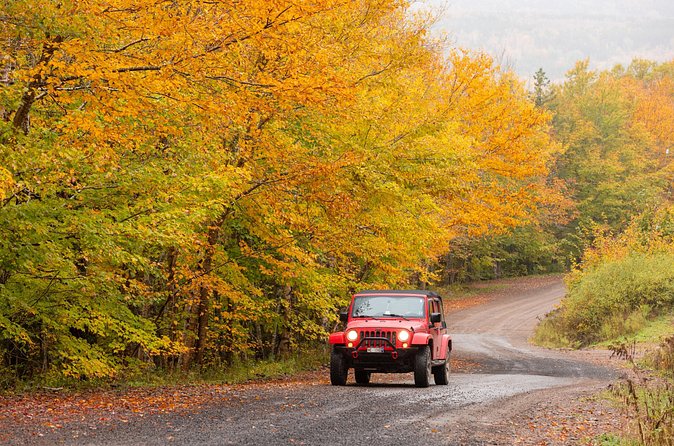 Cabot Trail Jeep Adventure - Cruise Excursion - What the guides add to the day