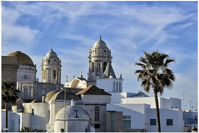Cadiz Shore Excursion: Scenic & walking tour with cheese and sherry tasting - Catedral Nueva and the Cathedral of the Americas