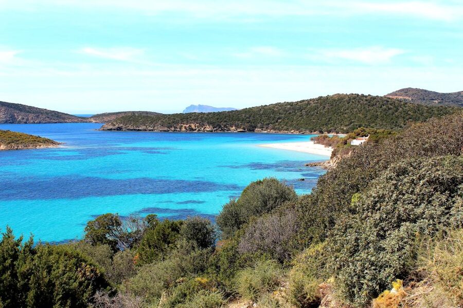 Cagliari Shore Excursion: Amazing Hidden Beaches Jeep Tour - Who will enjoy this Sardinia beach tour?