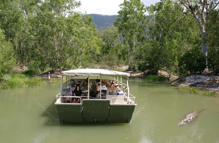 Cairns Shore Excursion: Crocodile & Wildlife Park Tour - The 10:30 AM pickup from Cairns