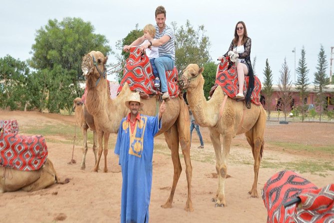 Camel riding in Agadir for Cruise ship Passengers - Key points to know before you book