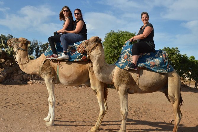 Camel riding in Agadir for Cruise ship Passengers - Mint tea and Moroccan cakes at the ranch