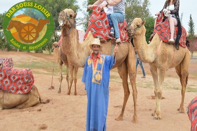 Camel riding in Agadir for Cruise ship Passengers - Is $39.68 a fair price?