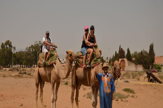 Camel riding in Agadir for Cruise ship Passengers - Who will enjoy this shore excursion most?