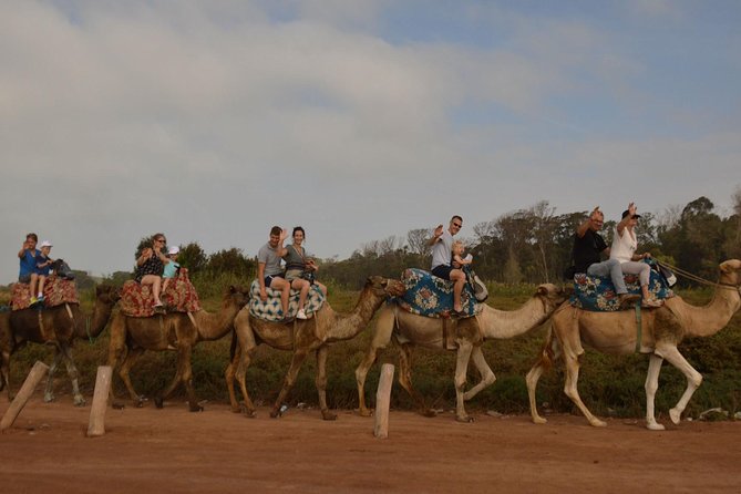 Camel riding in Agadir for Cruise ship Passengers - Dressing in Moroccan nomad clothing