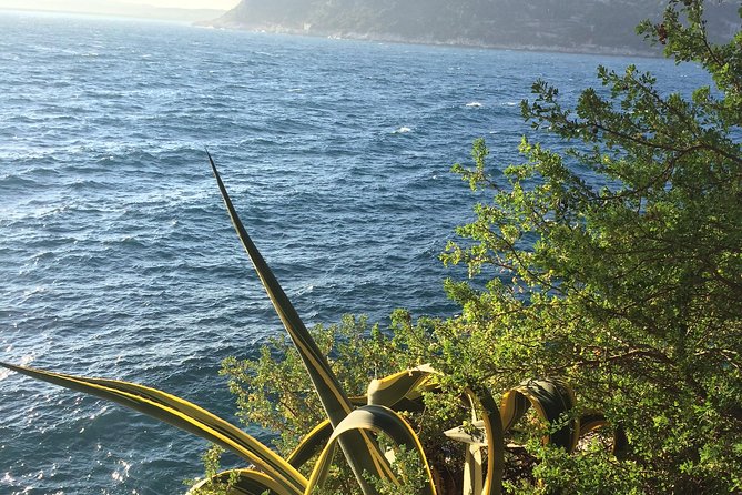Cannes Large Group Shore Excursion with a Minibus 15 seater - Is $2,373.08 a fair price?