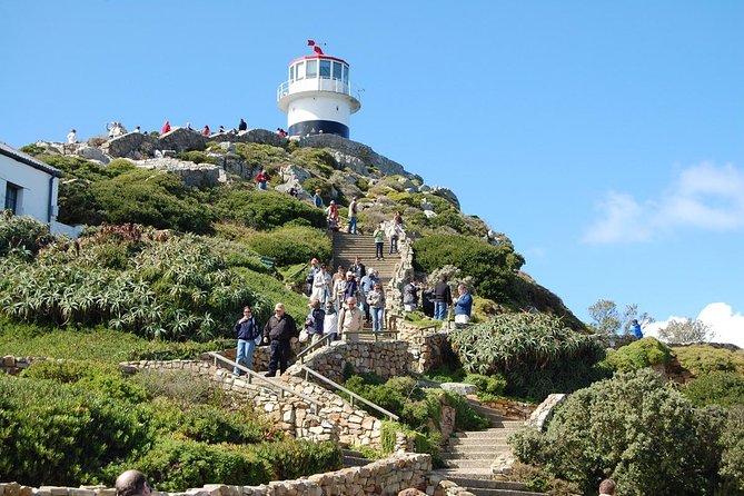 Cape Town Shore Excursion: Private Small Group Cape Peninsula - Hout Bay and the optional seal trip