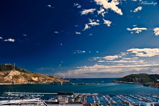 Cartagena Highlights Shore Excursion Private Walking Tour - Price, private service, and group value