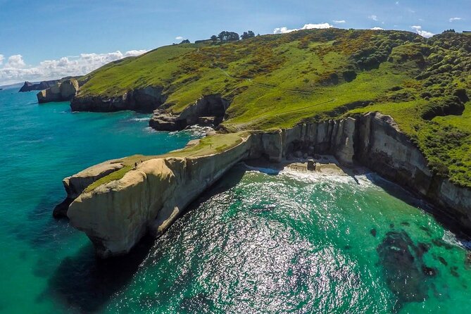 Catlins Cruiser Private Tour from Dunedin Cruise Port - Key points to know before booking