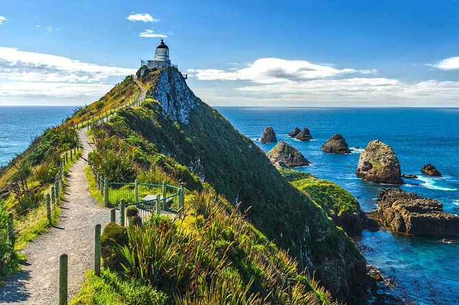 Catlins Cruiser Private Tour from Dunedin Cruise Port - Why this private Catlins trip appeals