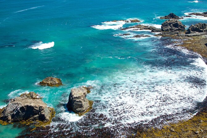 Catlins Cruiser Private Tour from Dunedin Cruise Port - The 90-minute return to Dunedin