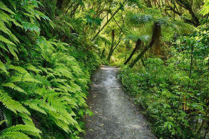 Catlins Cruiser Private Tour from Dunedin Cruise Port - Who will enjoy this route most?