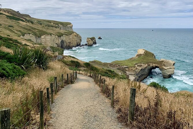 Catlins Cruiser Private Tour from Dunedin Cruise Port - Two hours on the Awakiki Bush Track