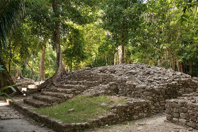Chacchoben Mayan Ruins Tour from Costa Maya Cruise Port - Why the guide matters here