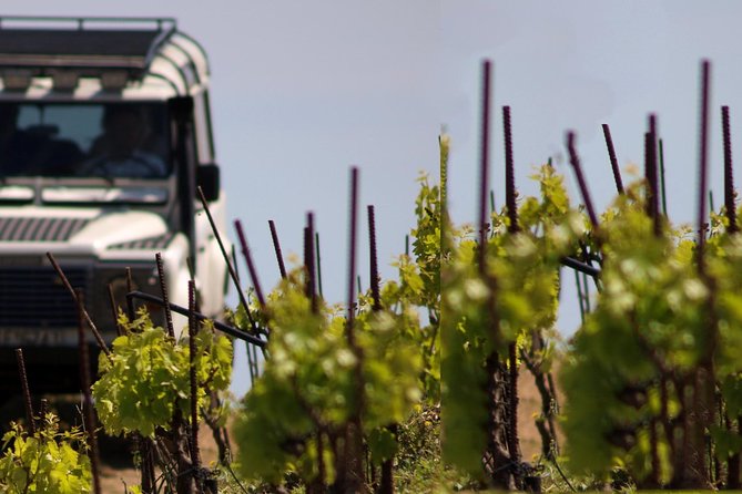 Chania Shore Excursion Off Road Vineyard and Winery Tour Half Day - Why this Chania shore excursion feels different