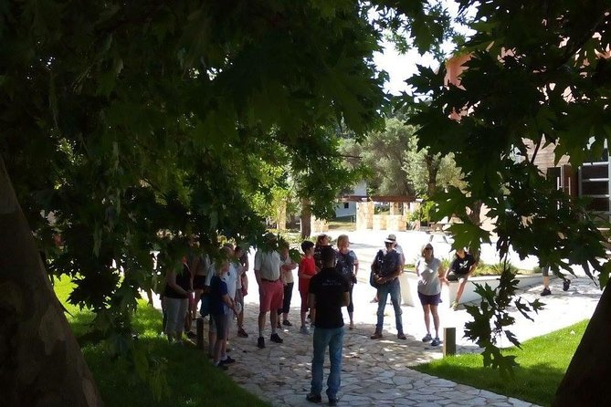 Chania Shore Excursion Off Road Vineyard and Winery Tour Half Day - What the $107.17 price really covers