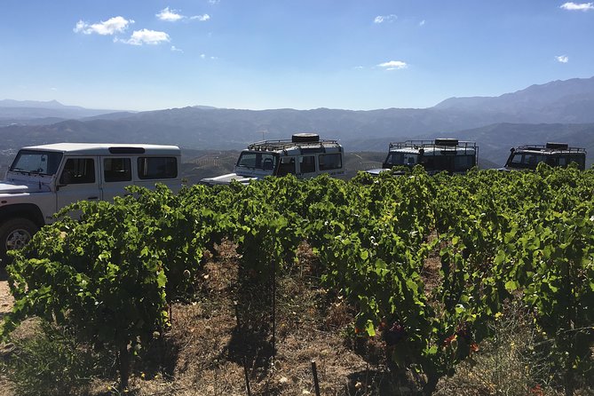 Chania Shore Excursion Off Road Vineyard and Winery Tour Half Day - Who should book it, and who should skip it
