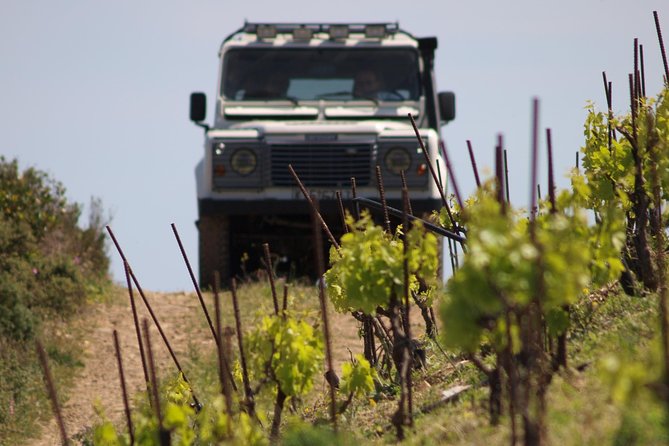 Chania Shore Excursion Off Road Vineyard and Winery Tour Half Day - Port pickup, group size, and cancellation details