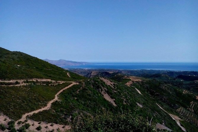 Chania Shore Excursion Off Road Vineyard and Winery Tour Half Day - Should you book the Vatolakos and Manousakis tour?