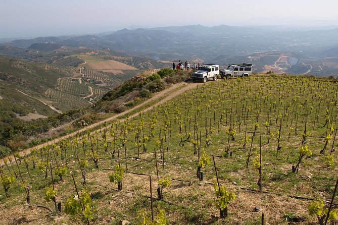 Chania Shore Excursion Off Road Vineyard and Winery Tour Half Day - The climb through Vatolakos Hills