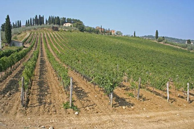Chianti Experience Shore Excursion from Livorno Port - The First Winery Stop at Panzano or San Michele a Torri