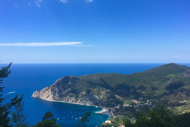 Cinque Terre and Pisa Private Tour from Livorno - Driver quality can shape the whole day