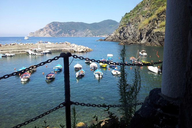 Cinque Terre Private Tour by Minivan and Ferry-Boat Shore excursion from Livorno - Manarola: narrow streets and cliffside views