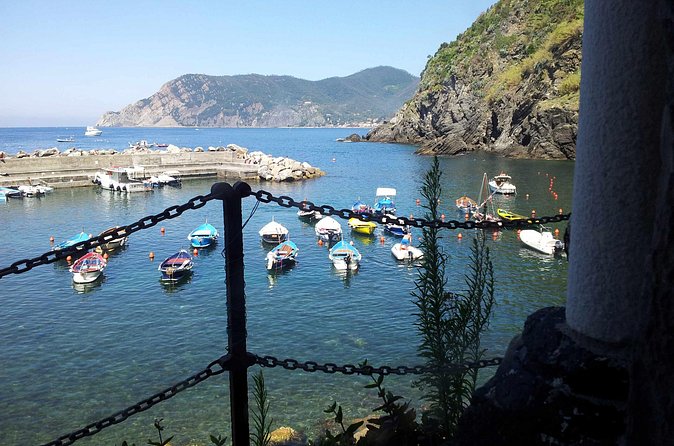 Cinque Terre Private Tour by Minivan and Ferry-Boat Shore excursion from Livorno - What the $479.36 price really buys