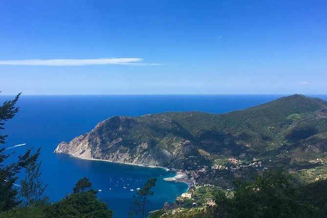 Cinque Terre Private Tour from Livorno - What each Cinque Terre village can offer