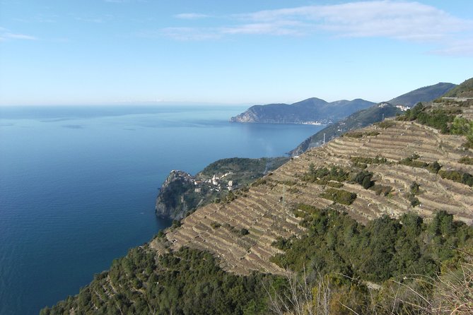 Cinque Terre Shore Excursions from Livorno Port - The guide experience can range from excellent to basic