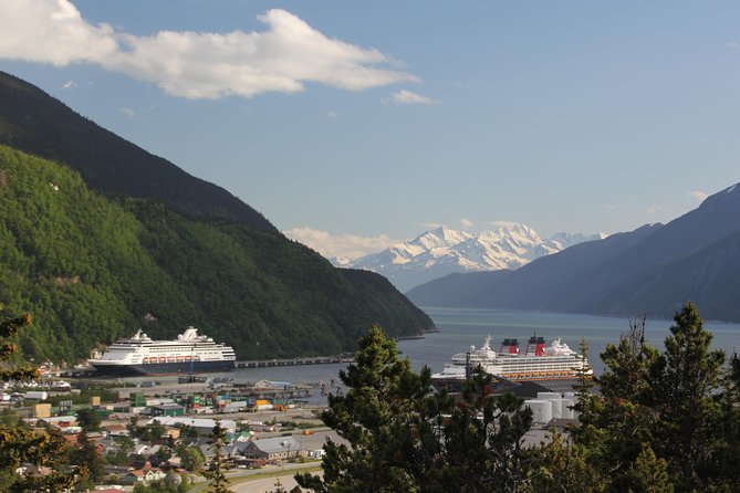 City and Mountain Summit Shore Excursion in Skagway - Key points to know before you book