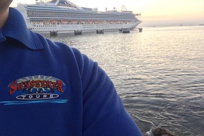 City Tour of Los Angeles from Long Beach and San Pedro Cruise Terminals - Hollywood Boulevard in 45 minutes