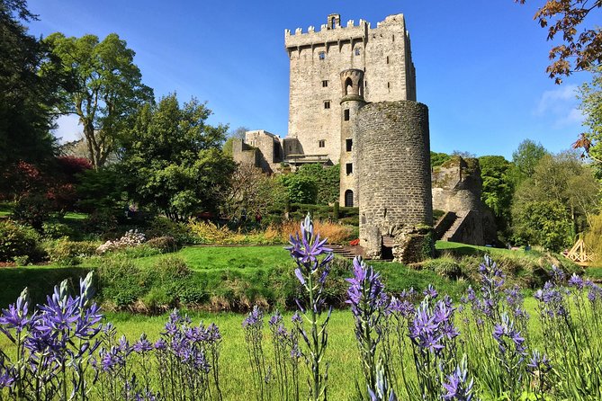 Cobh (Cork) to Blarney Castle & Kinsale - Shore Excursion - Timing, Comfort, and Physical Demands