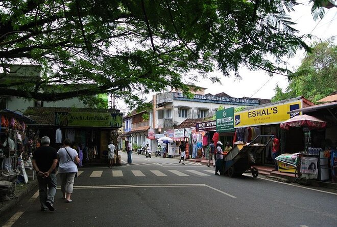 Cochin City or Backwater Shore Excursions from Cruise Terminal - Why the backwaters are worth your limited shore time