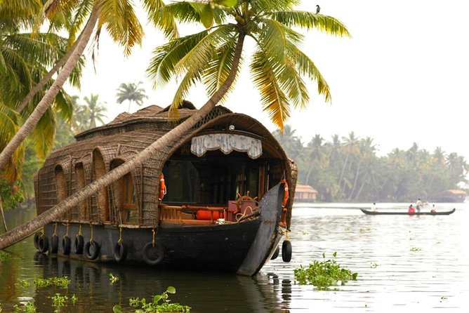 Cochin City or Backwater Shore Excursions from Cruise Terminal - How much value do you get for $27.50?