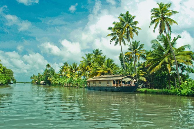 Cochin City or Backwater Shore Excursions from Cruise Terminal - The long ride to Alleppey