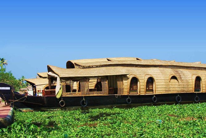 Cochin Shore Excursions from Cruise Terminal - Choosing between the three Kochi experiences