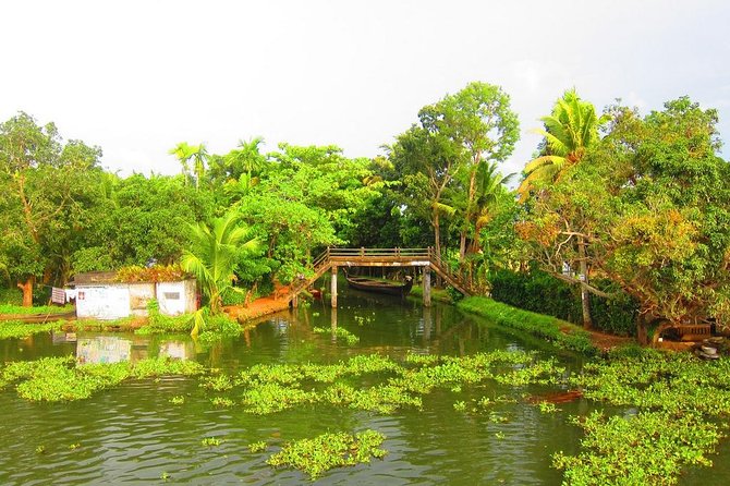 Cochin Shore Excursions from Cruise Terminal - Kochi and Mattancherry for culture and history