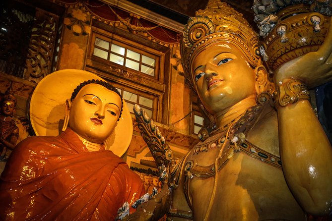 Colombo City Tour (small group with pickup from Cruise ship) - Vehicle comfort, walking, and physical demands