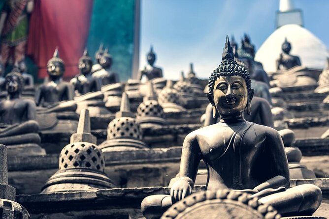 Colombo Port Shore Excursions Panoramic Colombo City By Tuk Tuk. - Key things to know before booking