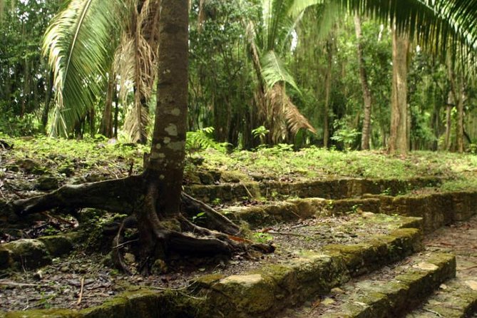 Costa Maya Shore Excursion: Chacchoben Day Trip - Why Chacchoben is worth your limited port time