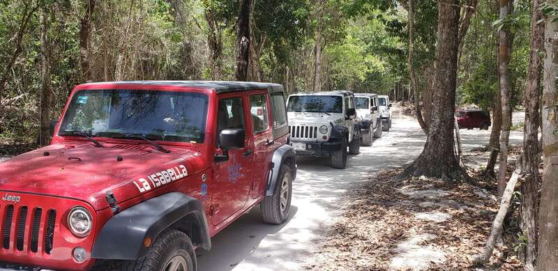 Cozumel: Private Jeep Tour Shore Excursion - Why this private Cozumel tour works well from a cruise ship