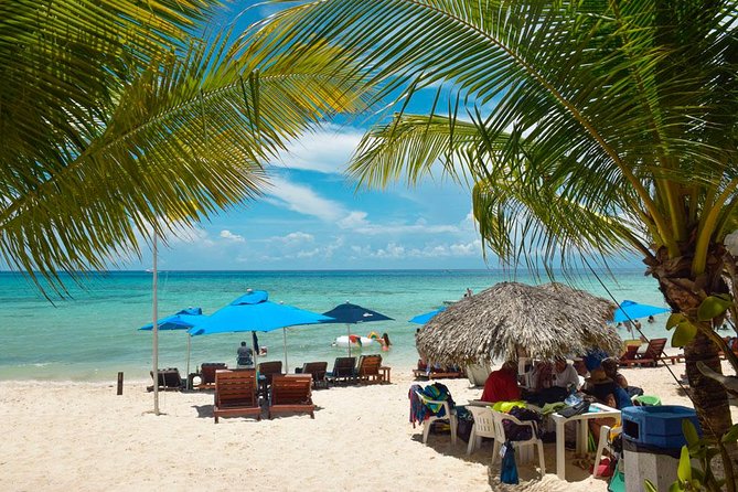 Cozumel Shore Excursion: 5-Hour Sightseeing Tour with Private Driver - El Mirador and Cozumel’s quieter east coast