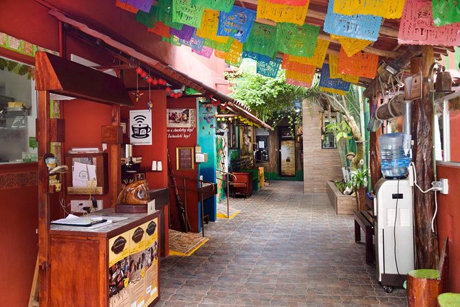 Cozumel Shore Excursion: 5-Hour Sightseeing Tour with Private Driver - Value, extra costs, and the private-tour tradeoff