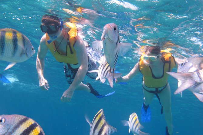 Cozumel Shore Excursion: Playa Uvas Private Beach Pass - Food, drinks, and service